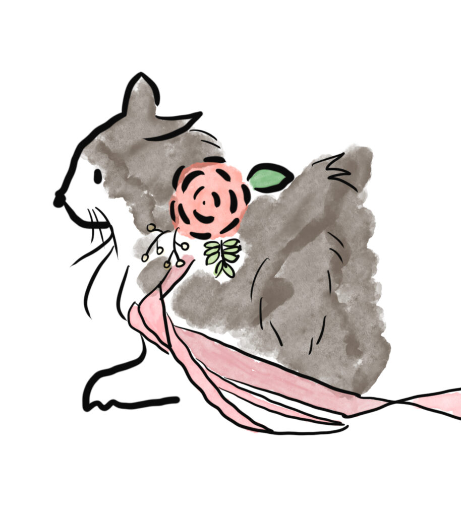 Lyra & Byul Blog Site Icon - Norwegian Forest Cat Illustration